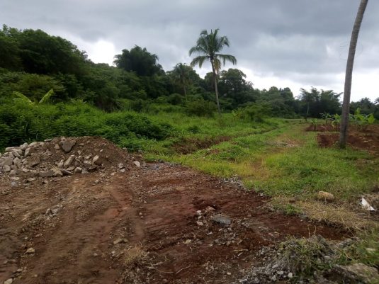 4 acre land at valakkavu