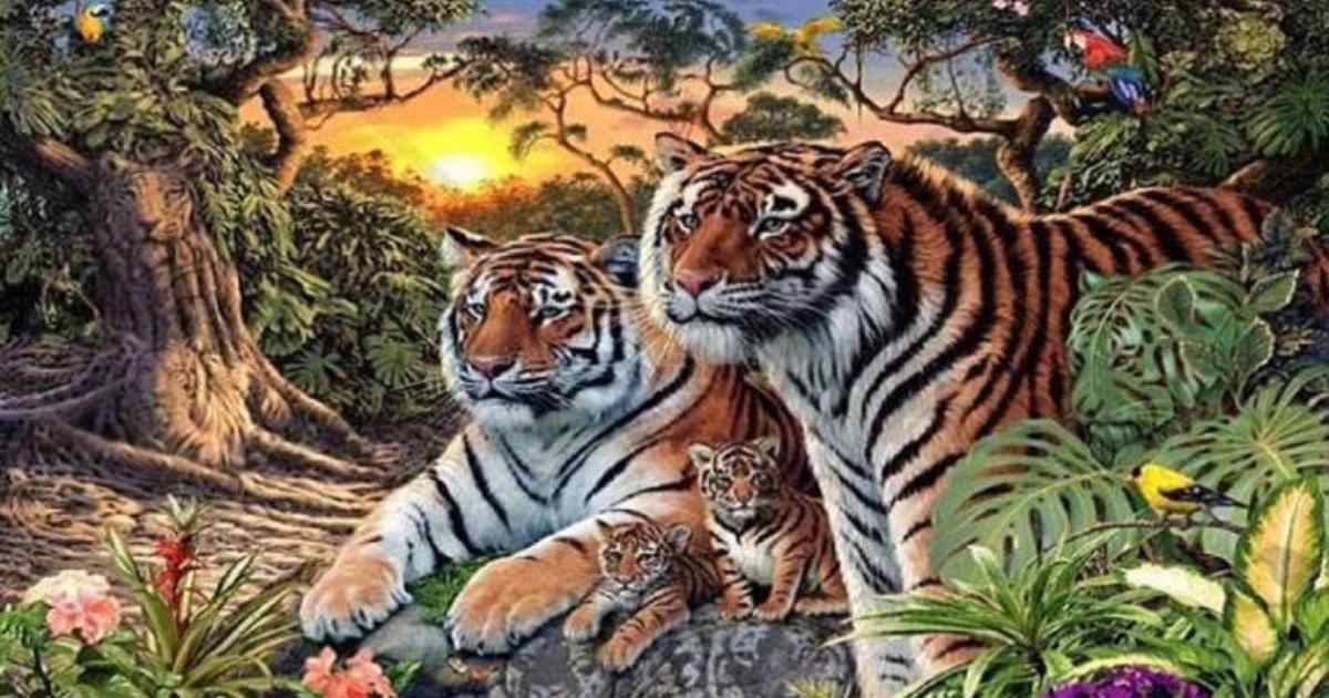 optical-illusion-how-many-tigers