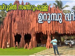 Budget Friendly Home Tour Malayalam 1