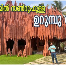 Budget Friendly Home Tour Malayalam (1)
