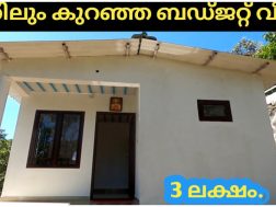 3 lakh small Budget Home