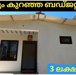 3 lakh small Budget Home