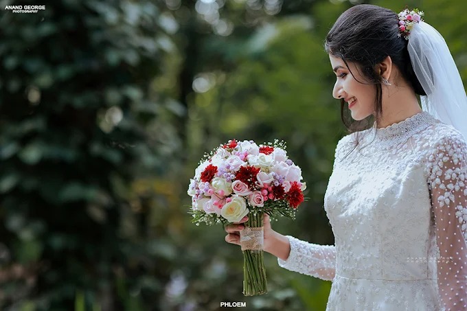 Phylum Weddingz Changanassery