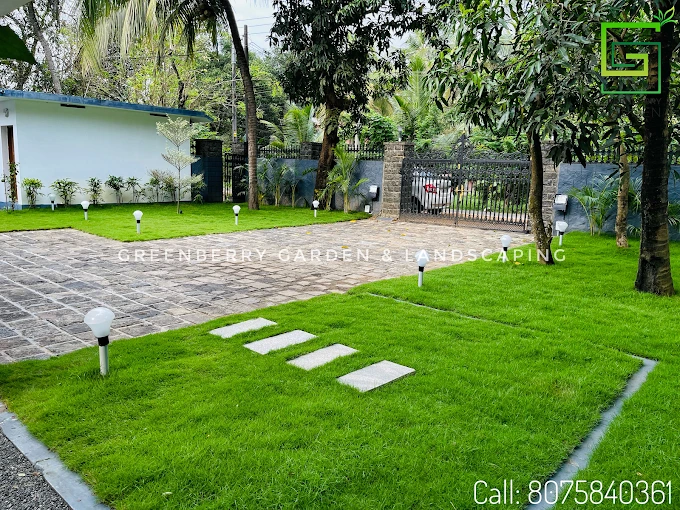 images Media