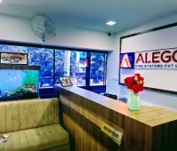 Alego Fire Systems