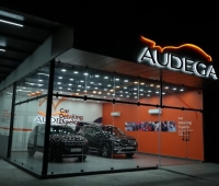Audega Car Wash Mankavu