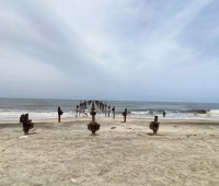Beach Alleppey