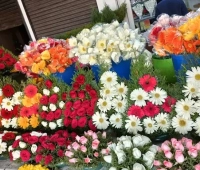 listing 4 City Flowers