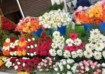 City Flowers