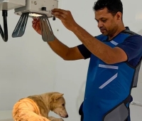 Dr Felson Pet Clinic Thrissur