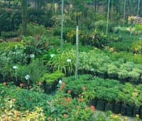 Ganya Garden Veliyannur