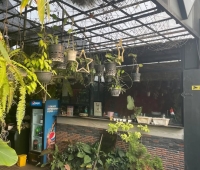 Garden Cafe The Pepper Lounge Restaurant Alappuzha