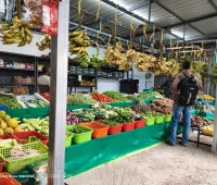 Haritha Vegetables
