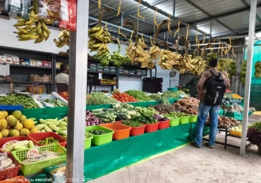 Haritha Vegetables