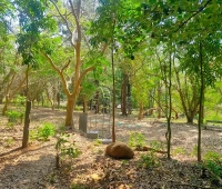Itty Achuthan Memorial KAU Botanical Garden