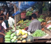 Jcs Vegetables