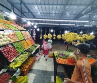 KMA Vegetables & Fruits