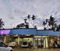 Magic Palm Auto Spa Thondayad