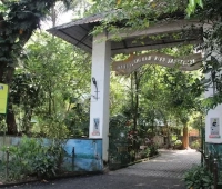 Mangalavanam Bird Sanctuary Marine Drive