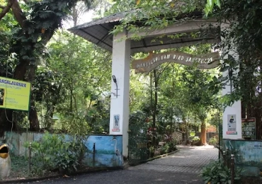 Mangalavanam Bird Sanctuary Marine Drive