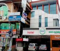 Mint Malabar Restaurant Naikkanal