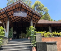 Mist Hotel Vythiri
