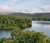 listing 5 Peechi-Vazhani Wildlife Sanctuary