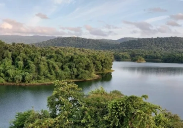 Peechi-Vazhani Wildlife Sanctuary