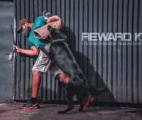 Reward K9 Dog Training Centre Chenthrapini