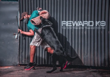 Reward K9 Dog Training Centre Chenthrapini