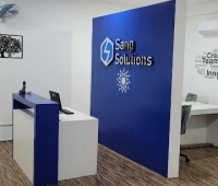 Sang Solutions
