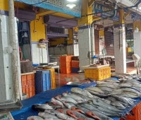 Shaktan Thampuran Fish Market