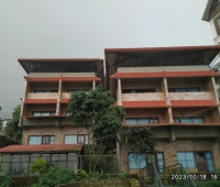 Shamrock Hotel Munnar