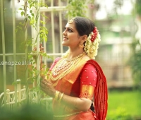 Snapzeal Wedding Photography Karaparamba