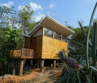 Uravu Bamboo Grove Hotel Thrikkaipatta