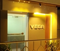 Vega Business Software