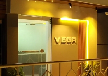 Vega Business Software